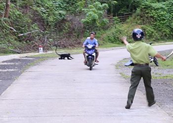 mơ thấy rượt đuổi