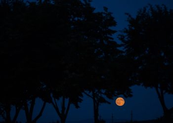 mơ về bóng tối