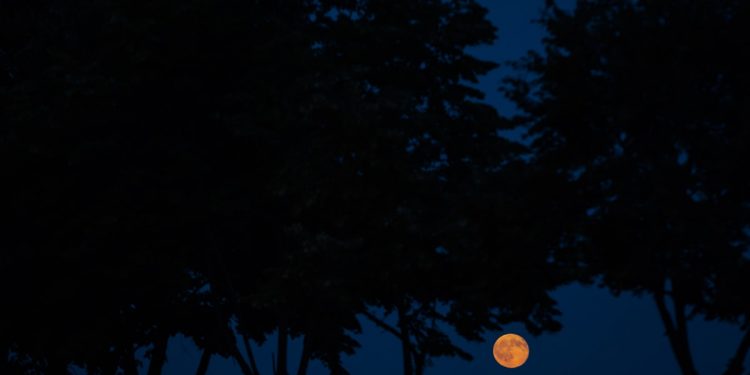 mơ về bóng tối