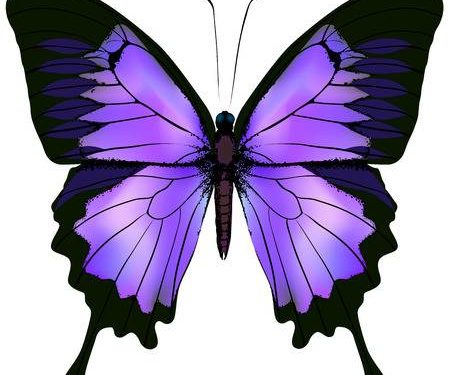 Mơ thấy bướm có ý nghĩa gì? điềm báo như nào?