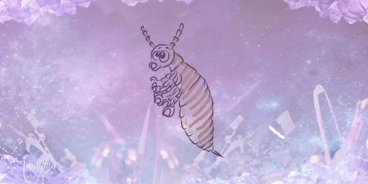 Mơ thấy con chấy có ý nghĩa gì? Thông điệp là gì?