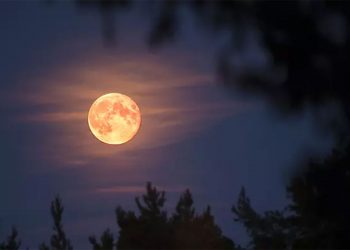 mơ về mặt trăng