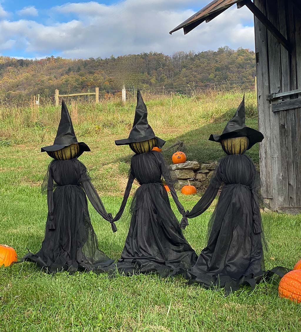 mơ thấy phù thủy đánh còn gì