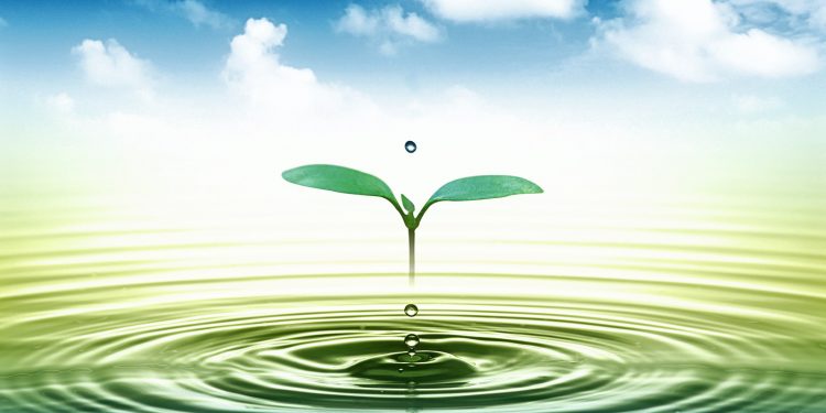 Mơ thấy nước mang đến điềm báo gì cho cuộc sống?