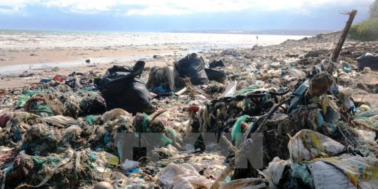 Mơ thấy phân có ý nghĩa gì? điềm báo như nào?