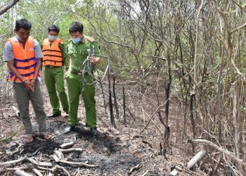 Mơ thấy cướp có ý nghĩa gì? Điềm báo như nào?