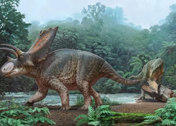 Giấc mơ về khủng long ẩn chứa điềm báo tâm linh gì?