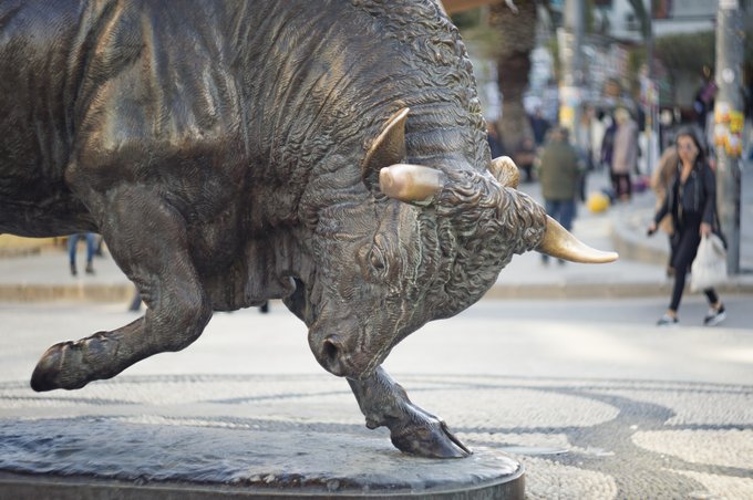 giải mã giấc mơ thấy bò đực