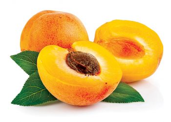 Mơ thấy quả mơ có ý nghĩa gì? Điềm báo như nào?